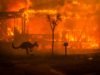 WHY Release Special Video For Australia Bushfires